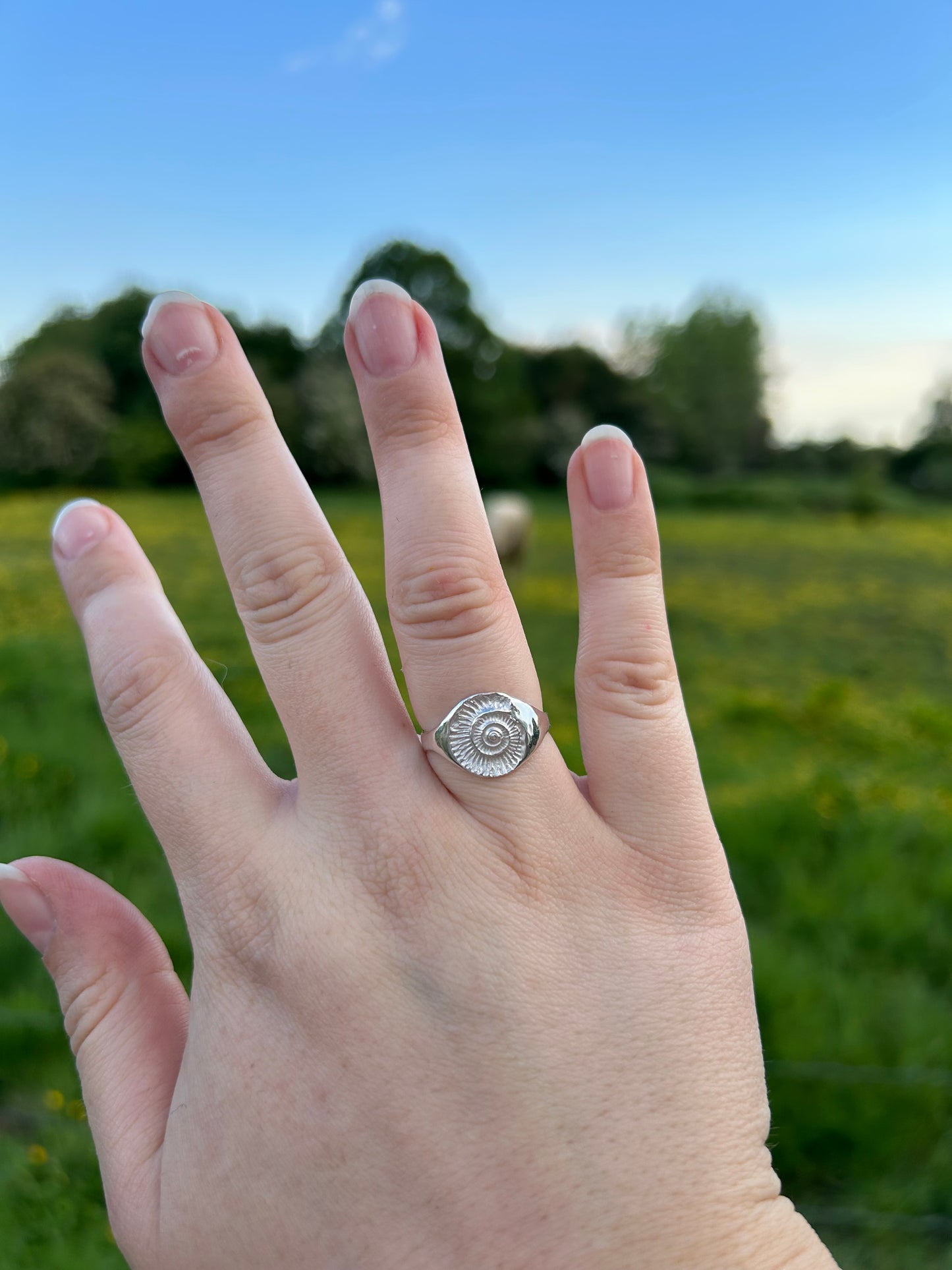 Ammonite Signet Ring - Made to Order