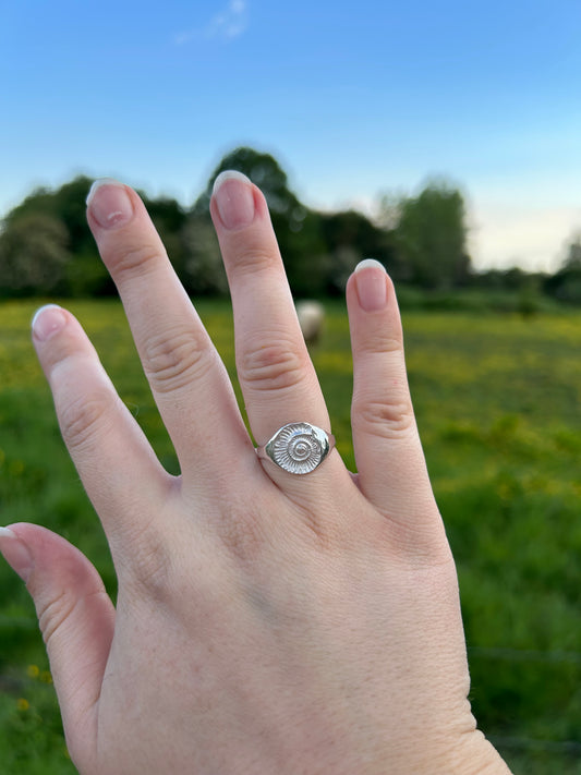 Ammonite Signet Ring - Made to Order