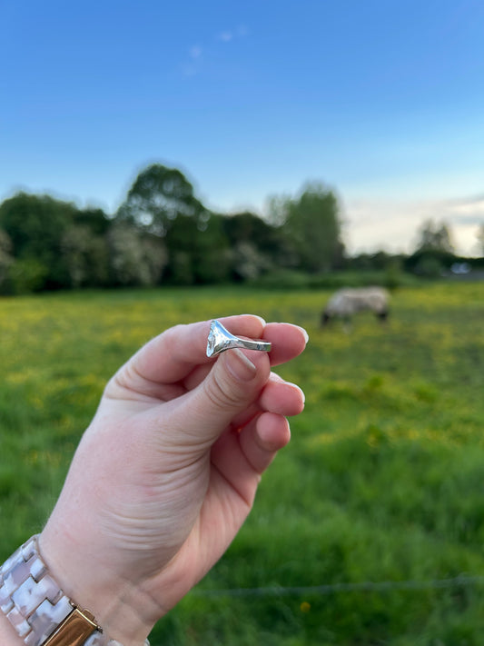 Ammonite Signet Ring - Made to Order