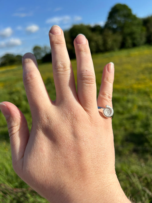 Classic Ammonite Fossil Ring - Made to Order