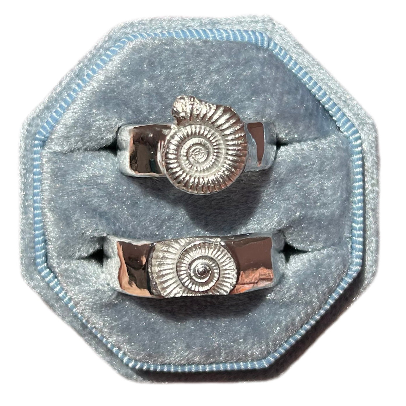 Classic Ammonite Fossil Ring - Made to Order