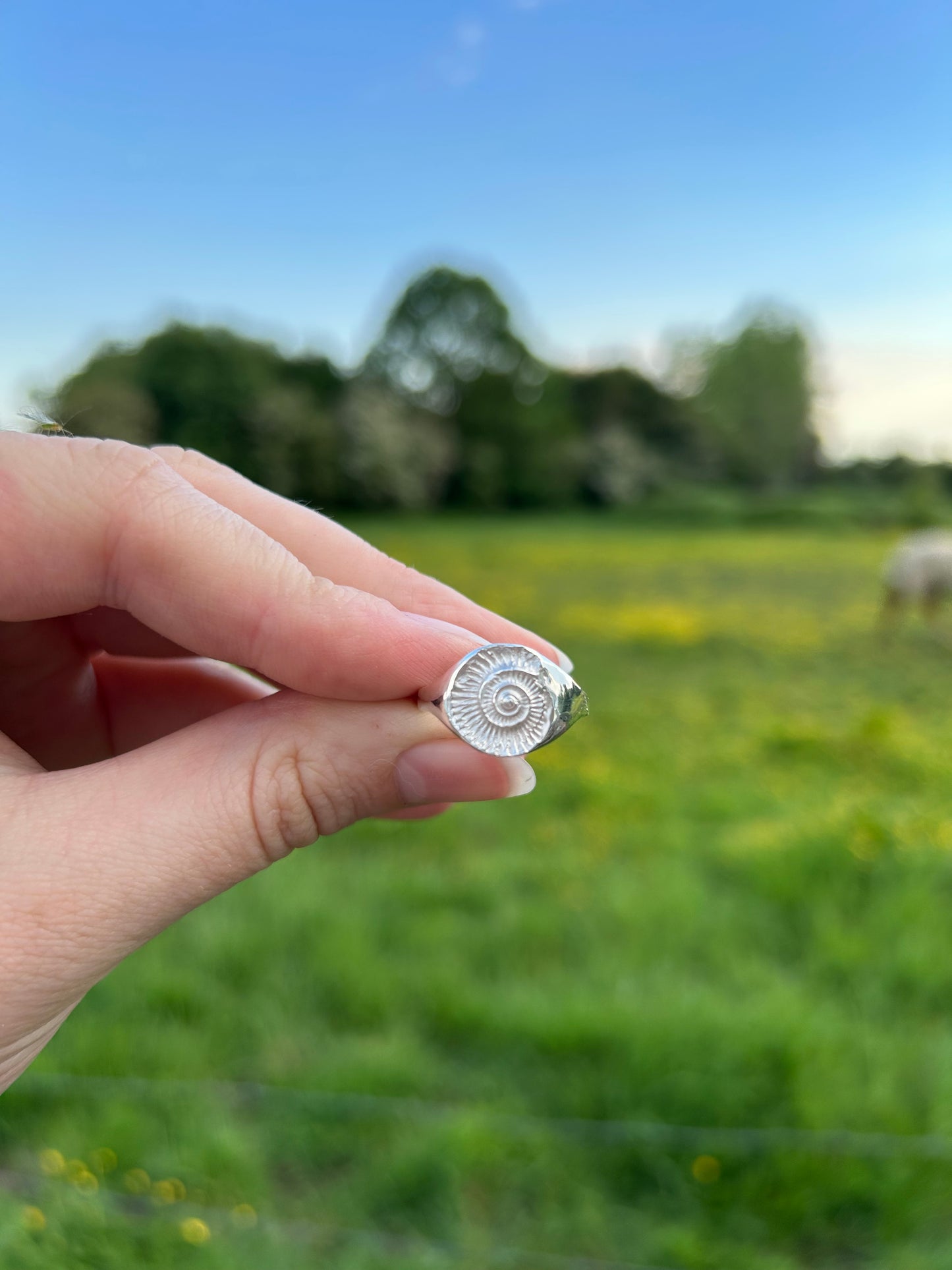 Ammonite Signet Ring - Made to Order