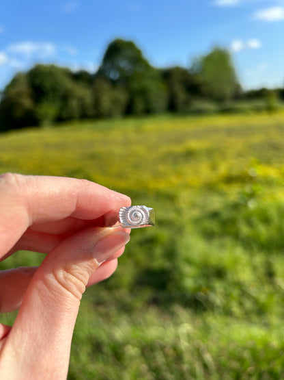 Ammonite Fossil Imprint Ring - Made to Order