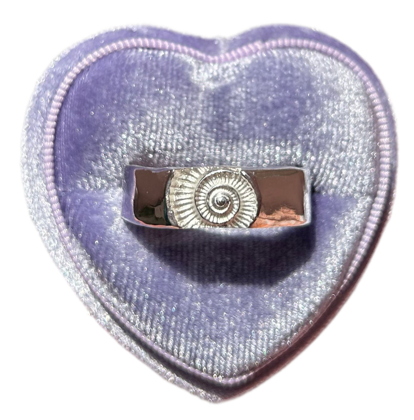 Ammonite Fossil Imprint Ring - Made to Order