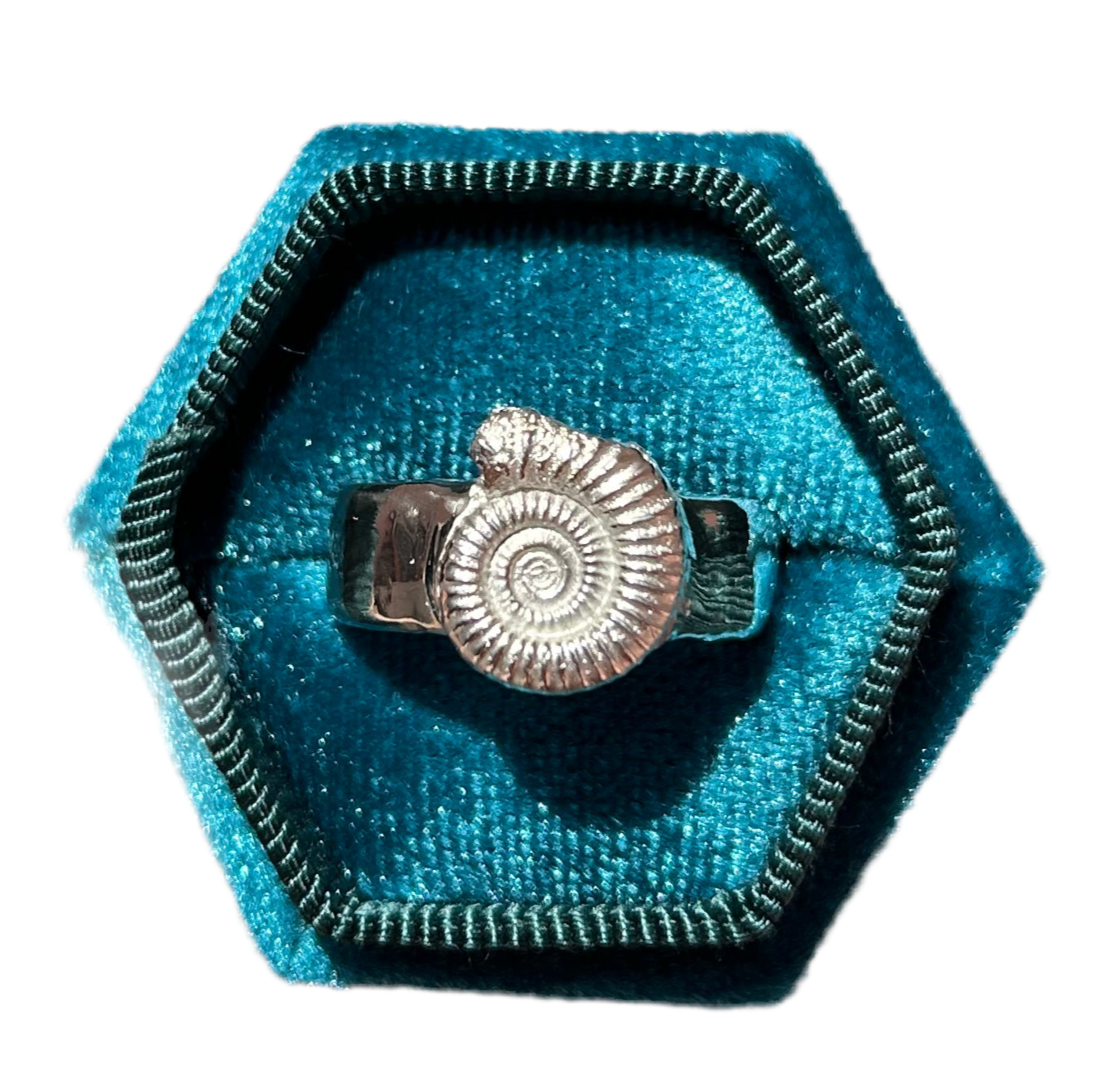 Classic Ammonite Fossil Ring - Made to Order