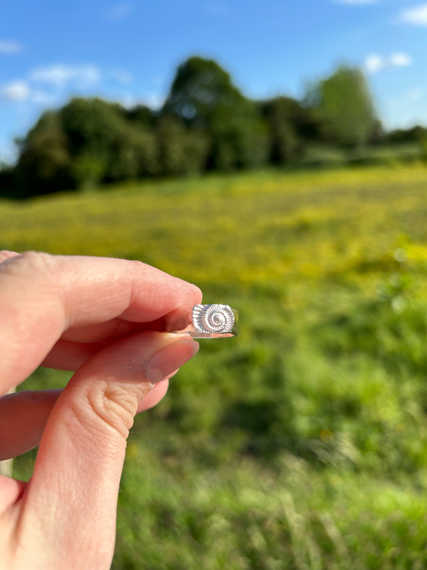 Ammonite Fossil Imprint Ring - Made to Order