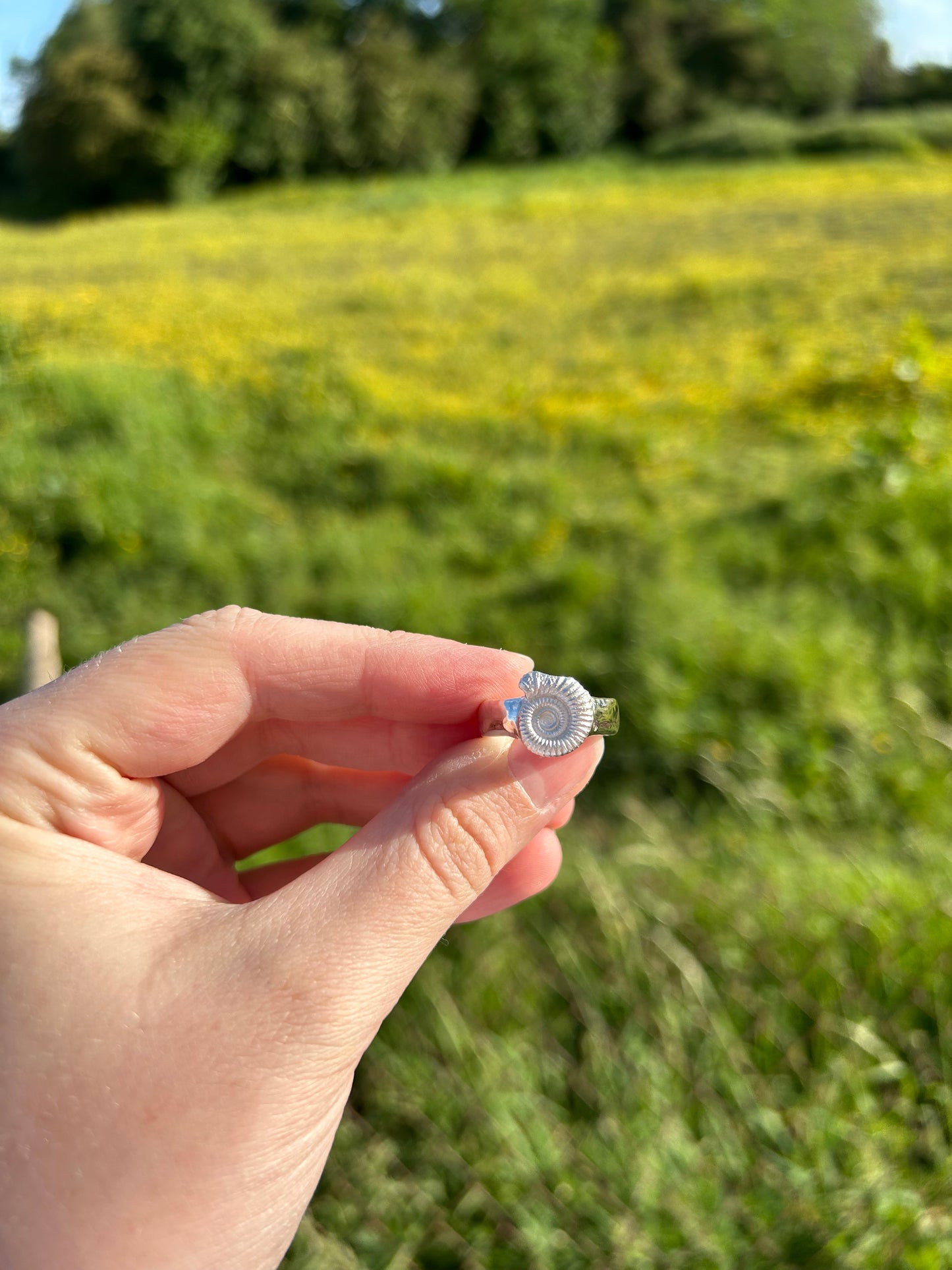 Classic Ammonite Fossil Ring - Made to Order